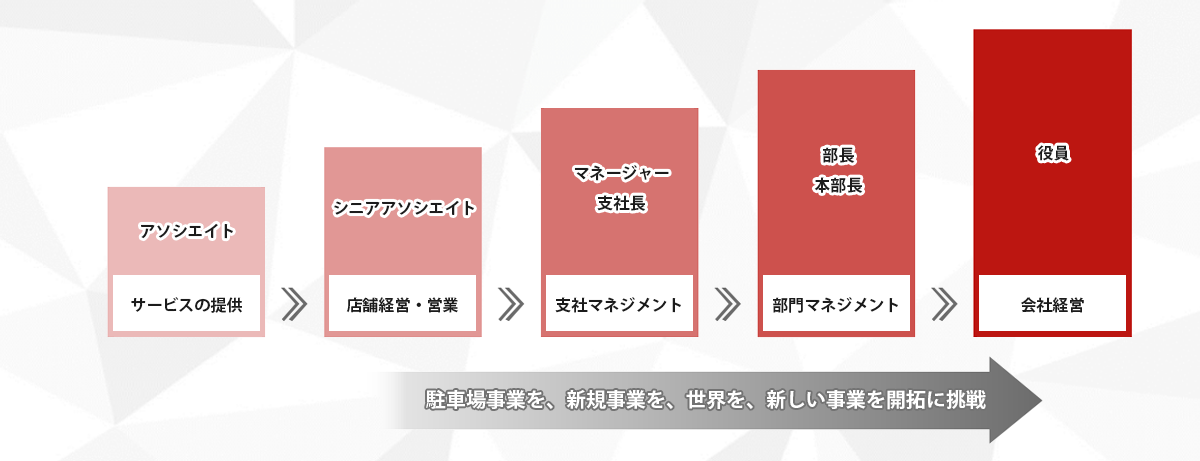 キャリアパス概要