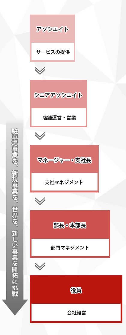 キャリアパス概要